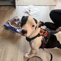 Thumbnail photo of Gumdrop #4