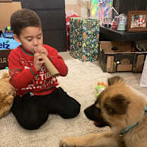 Thumbnail photo of Baby Ewok #4