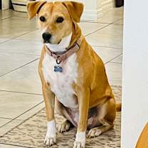 Thumbnail photo of Jessie #3