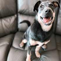 Thumbnail photo of Luna #1