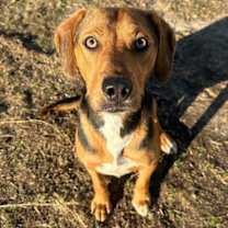 Thumbnail photo of Contigo #1