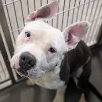 Thumbnail photo of OREN #3