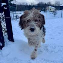 Thumbnail photo of Fossil #1