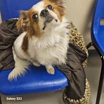 Thumbnail photo of Linda #1