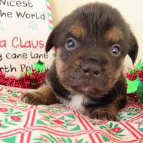 Thumbnail photo of Oatmeal #2