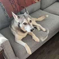 Thumbnail photo of Charlie #4