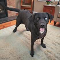 Thumbnail photo of Ninja #1