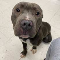 Thumbnail photo of Missed Opportunity #2