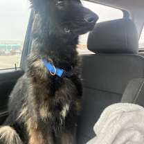 Thumbnail photo of Rocky #2