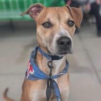 Thumbnail photo of Kane #3