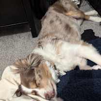 Thumbnail photo of Tucker #3