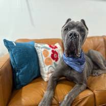 Thumbnail photo of Victor lovey boy #1