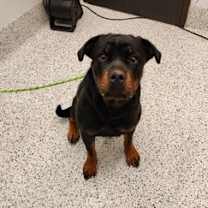 Thumbnail photo of Grace #1