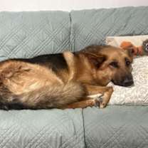 Thumbnail photo of Kimmie #1