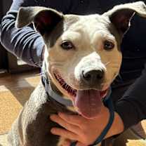 Thumbnail photo of Lady #2