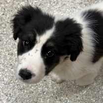 Thumbnail photo of Hilton #1