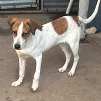 Thumbnail photo of Ultra Lux #3