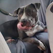 Thumbnail photo of Buzz #4