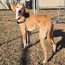 Thumbnail photo of Betty #1