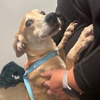 Thumbnail photo of Betty #2