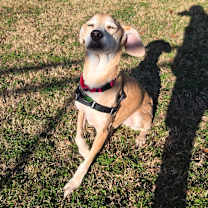 Thumbnail photo of Betty #4