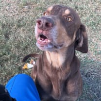 Thumbnail photo of Pauly #4