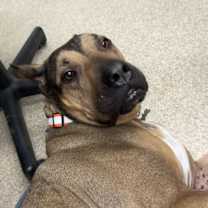 Thumbnail photo of Ella #2