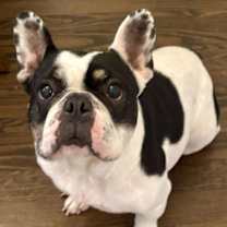 Thumbnail photo of Lala #4