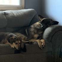 Thumbnail photo of Brandi #1