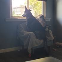 Thumbnail photo of Brandi #3