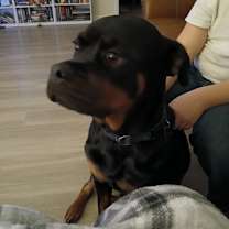 Thumbnail photo of Brandy #3