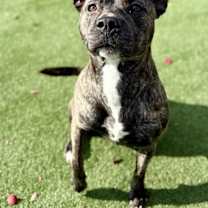 Thumbnail photo of Leah #3