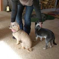 Thumbnail photo of Sammie #4