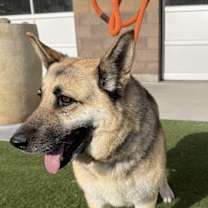 Thumbnail photo of Lola #1