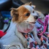 Thumbnail photo of Linda #2