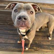 Thumbnail photo of Lissy #2