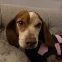 Thumbnail photo of Cassie #2