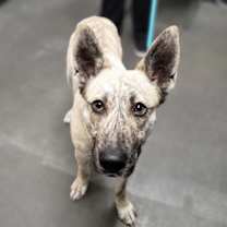 Thumbnail photo of Angie #1