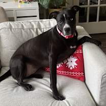 Thumbnail photo of Winnie #1