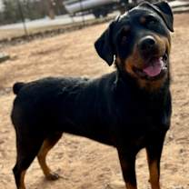 Thumbnail photo of Nora #3