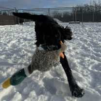 Thumbnail photo of Seth #2