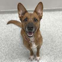 Thumbnail photo of Melillo #3