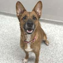 Thumbnail photo of Melillo #4