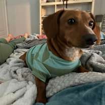 Thumbnail photo of Pretzel #3