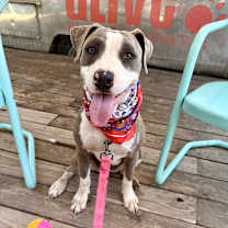 Thumbnail photo of Cocoa Puff #2