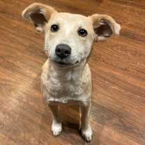 Thumbnail photo of Zola #1