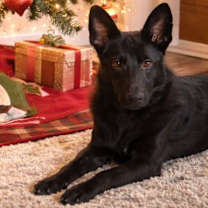 Thumbnail photo of Doreen #1