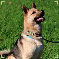 Thumbnail photo of Donny #1