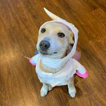 Thumbnail photo of Zola #4