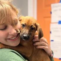 Thumbnail photo of Albany #3